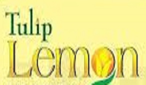 Tulip Lemon